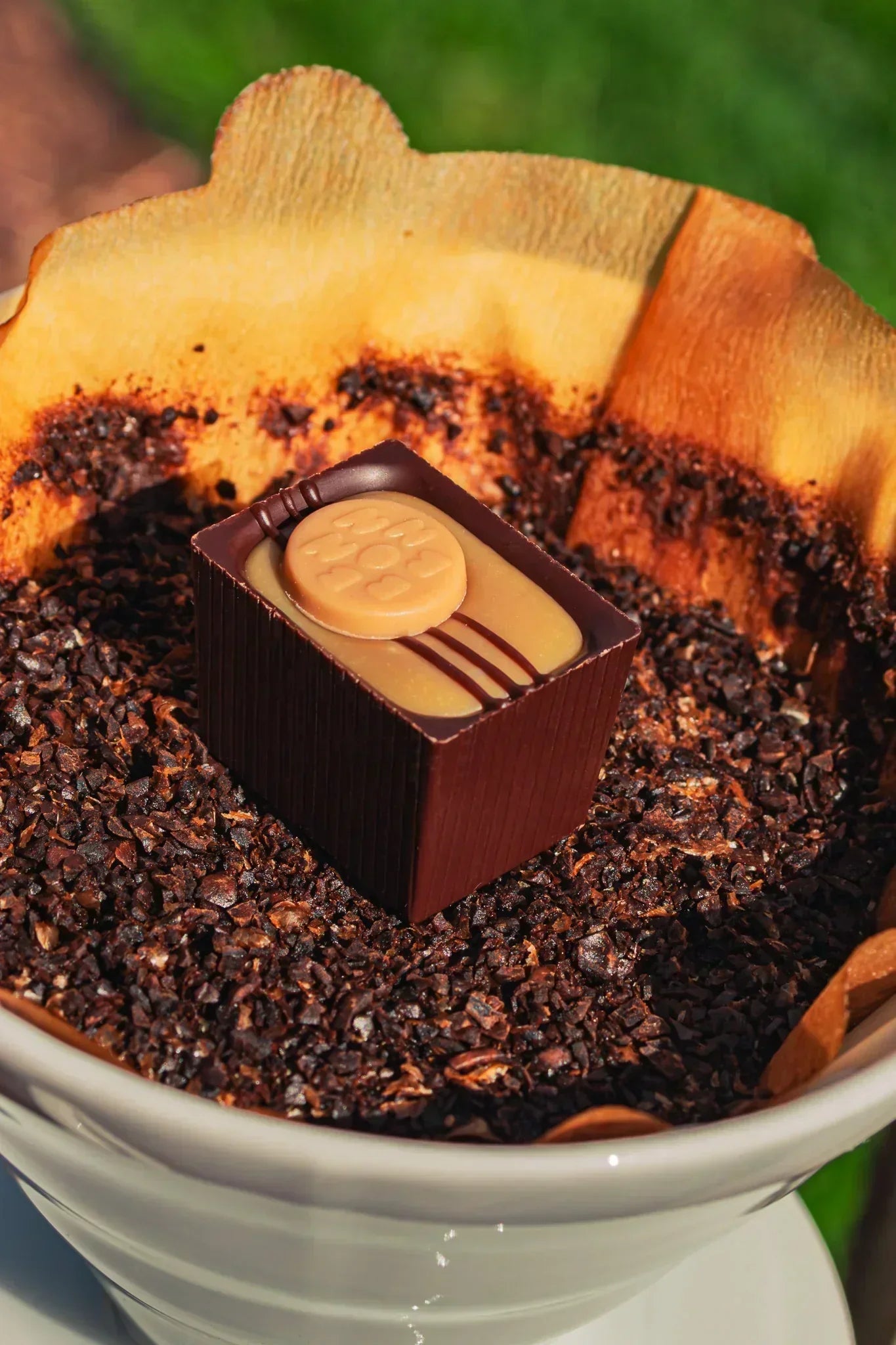 Britta filter filled with coffee grounds and a Bon resting on top with natural light shining.