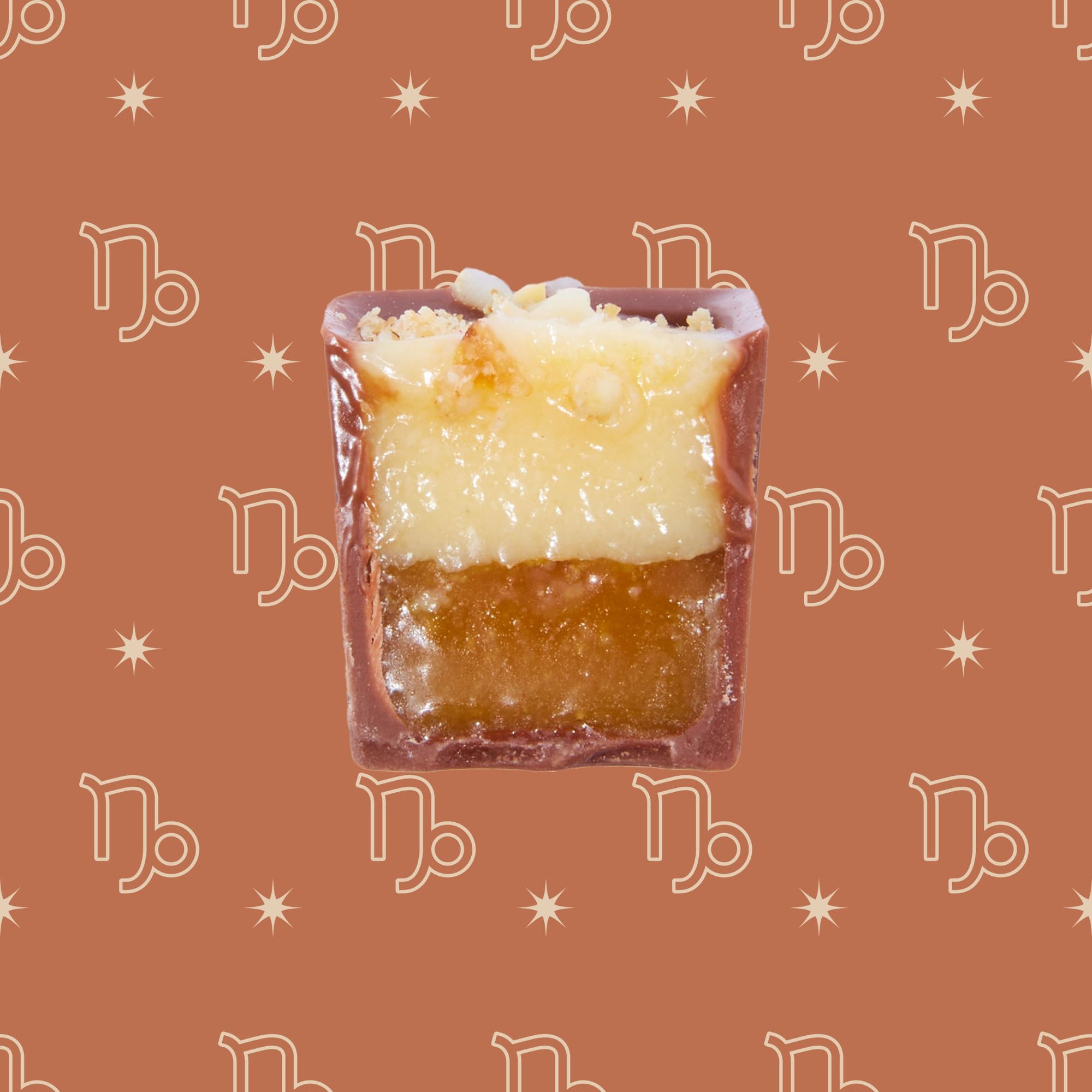 Capricorn Bon of the Zodiac: A Treat for Our Fancy Friends