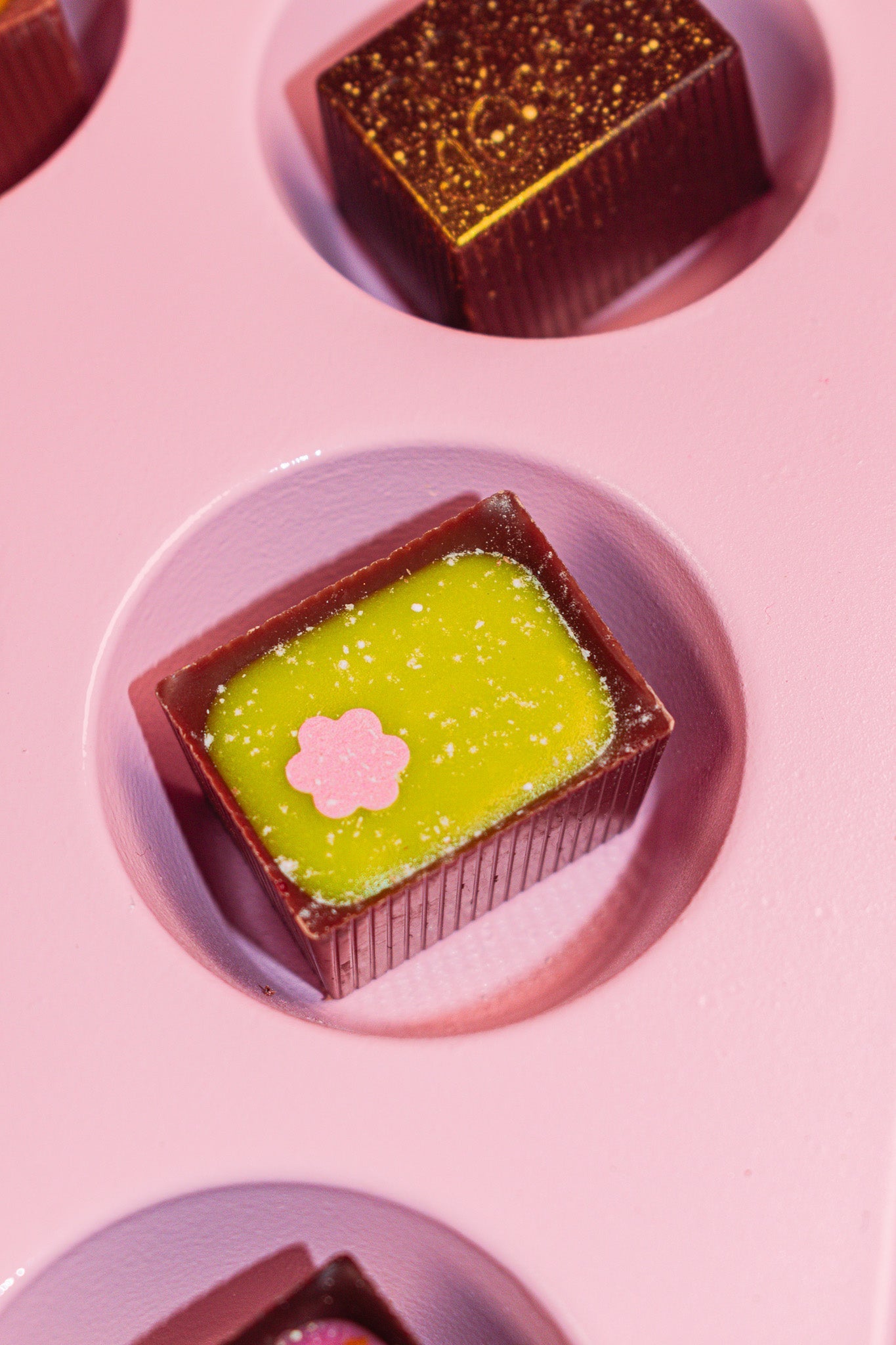Bright green Bon in a pink muffin tin divot.