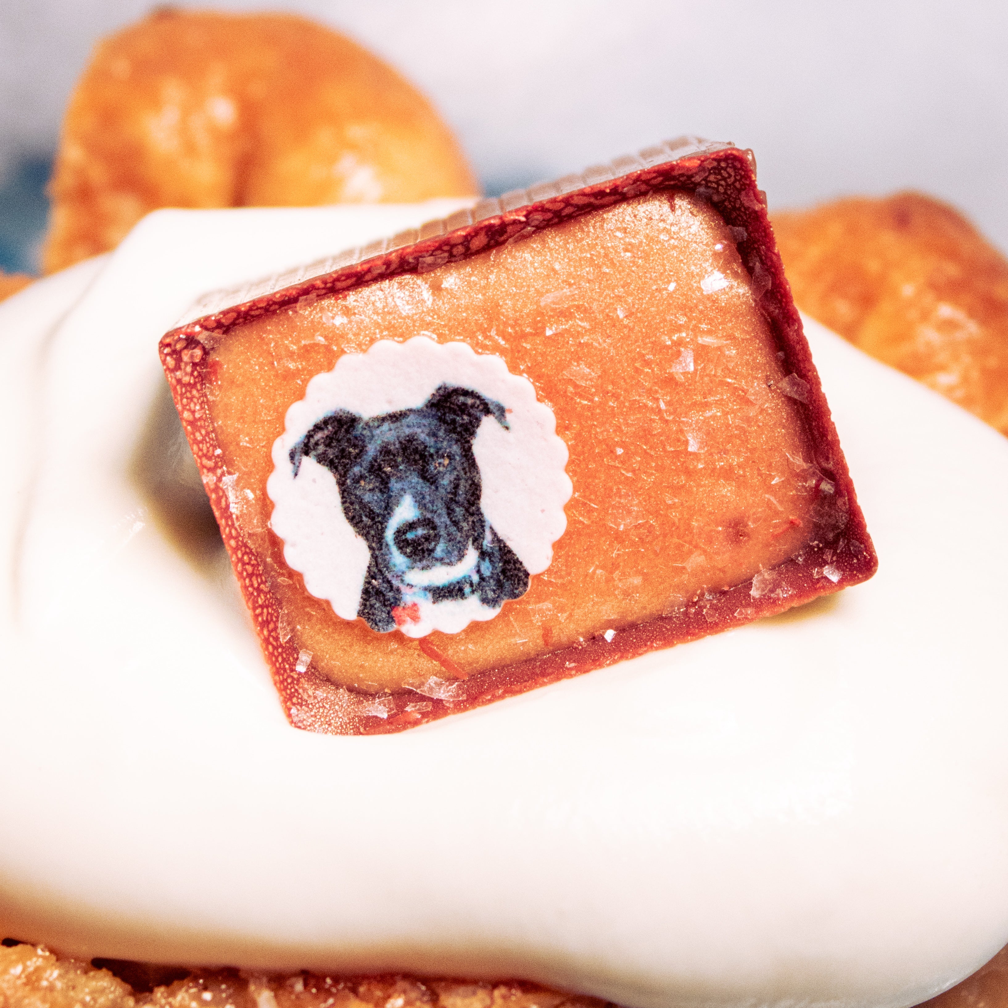 dog photo on a Bon. All on top of a pie