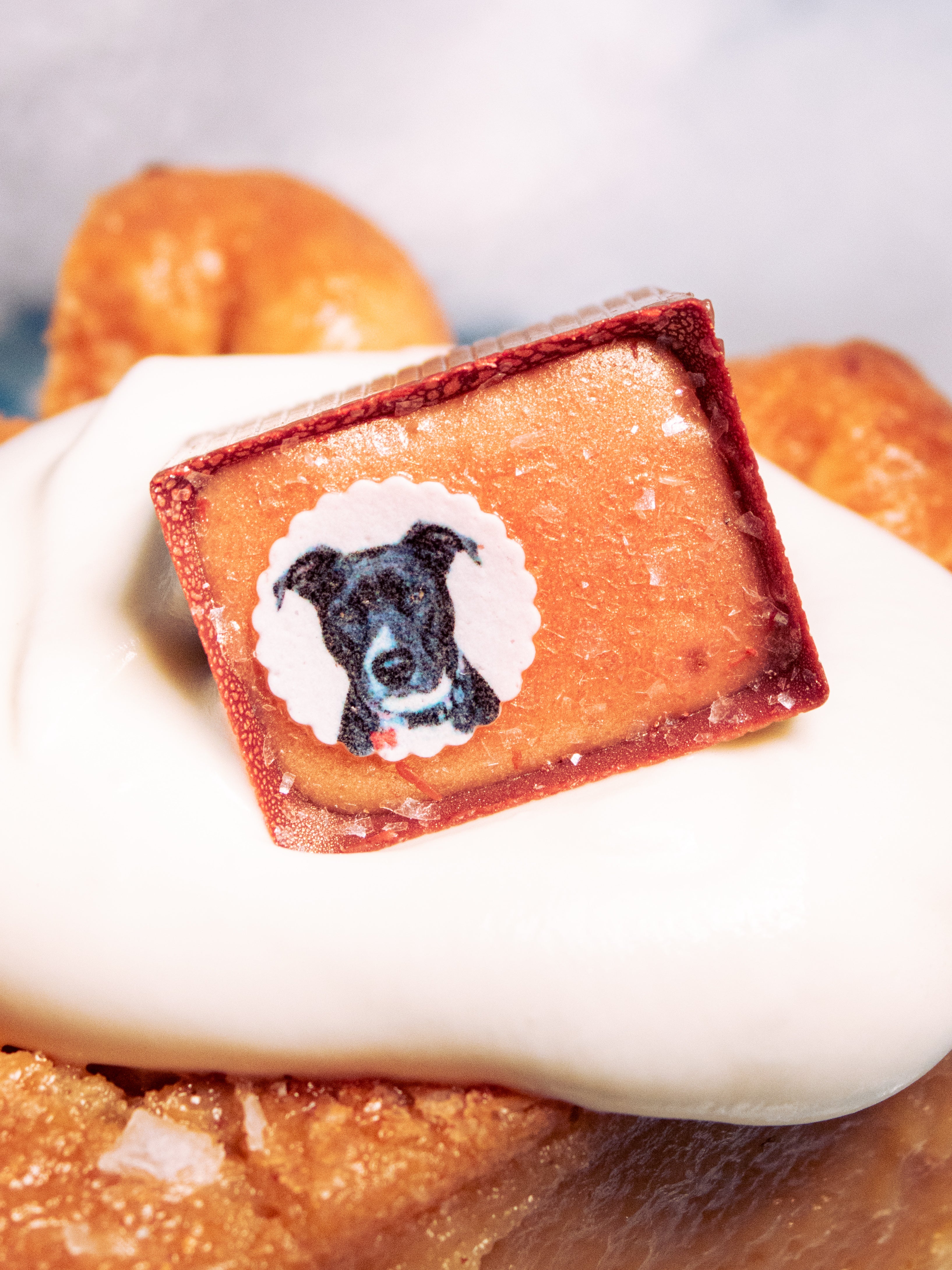 dog photo on a Bon. All on top of a pie