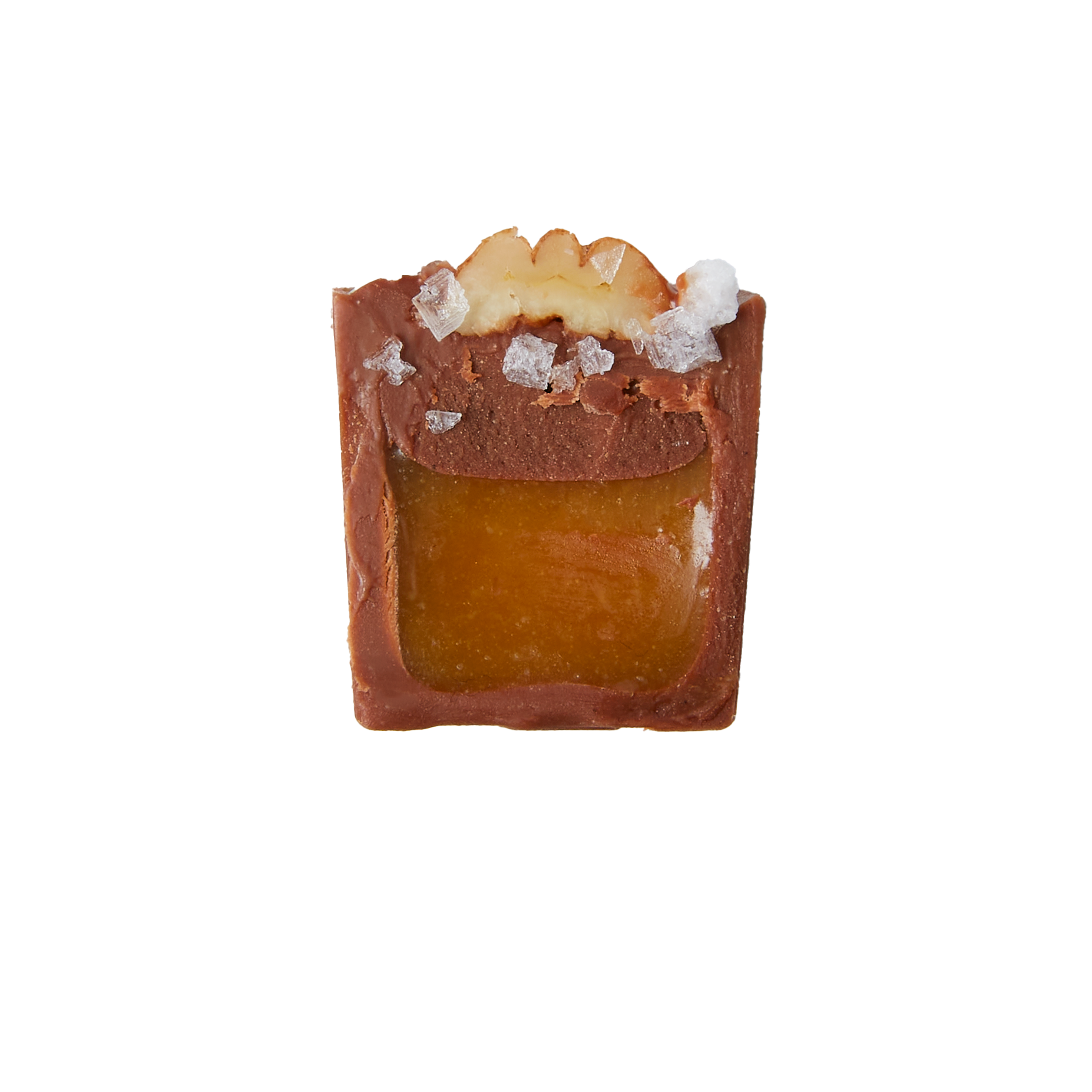 Swimming turtle bon bon cut in half