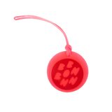 BON-dle/Bundle of Basics