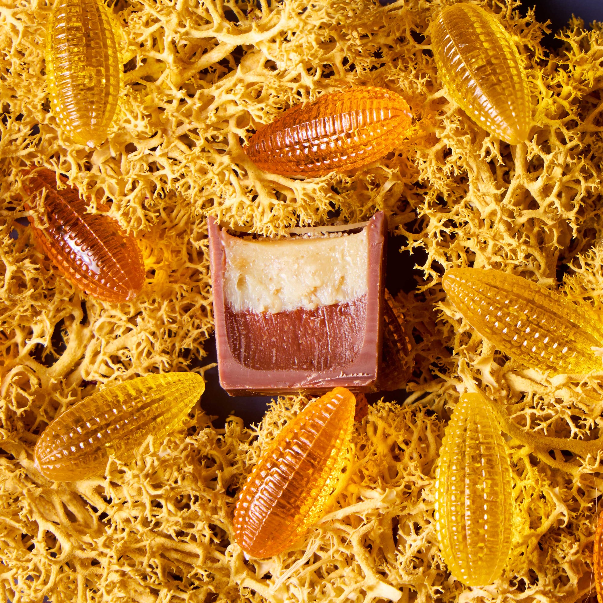 Fall Collection - In-Store