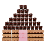 Cherry Lux Box of Bons