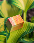 Summer Collection 2026
