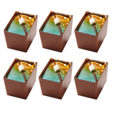 S'mores Box of Bons