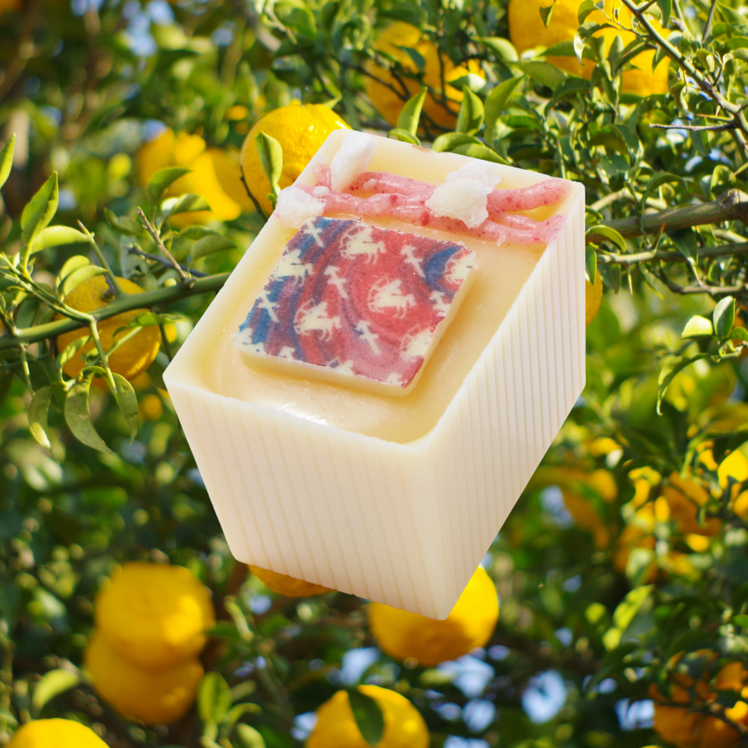 Zodiac Bon Sagittarius in front of a yuzu tree background